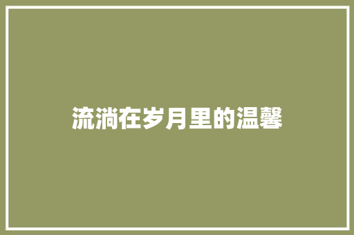 流淌在岁月里的温馨