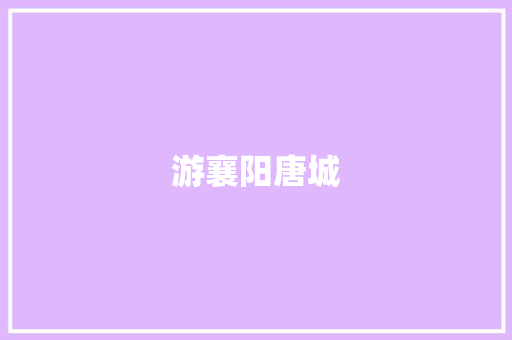 游襄阳唐城