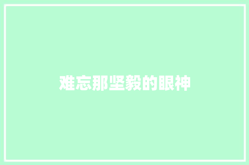 难忘那坚毅的眼神