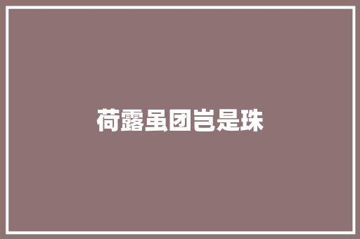 荷露虽团岂是珠 知识百科
