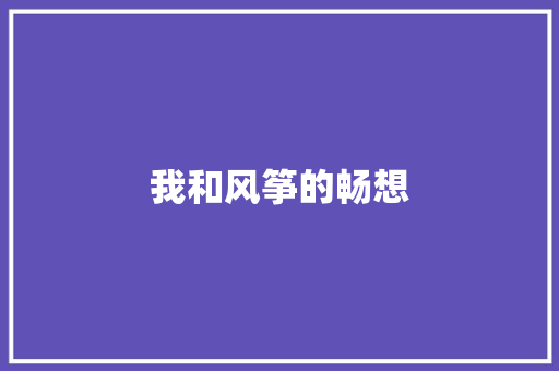 我和风筝的畅想