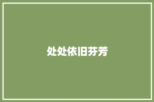 处处依旧芬芳
