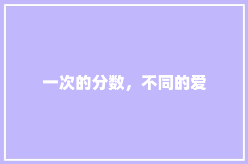 一次的分数，不同的爱