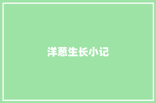 洋葱生长小记