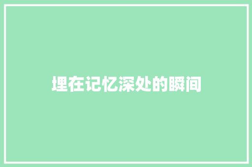 埋在记忆深处的瞬间
