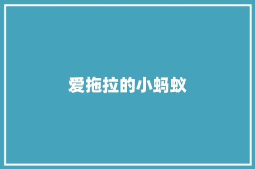 爱拖拉的小蚂蚁