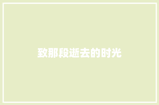 致那段逝去的时光