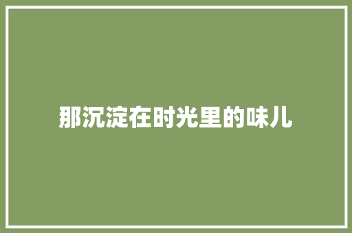那沉淀在时光里的味儿