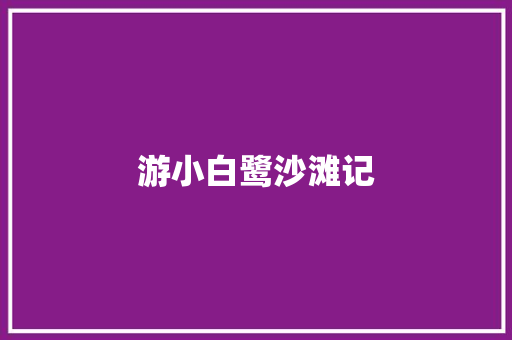 游小白鹭沙滩记