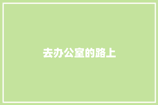 去办公室的路上