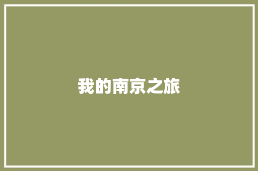 我的南京之旅
