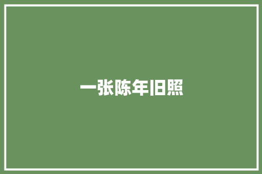 一张陈年旧照