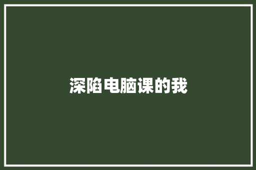 深陷电脑课的我