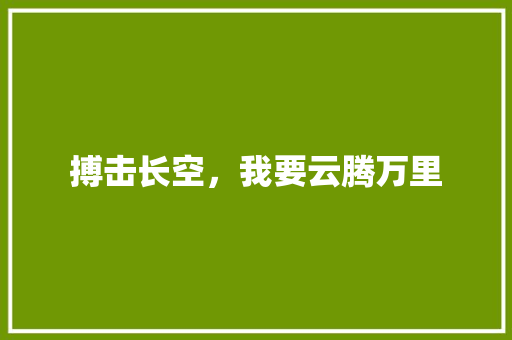搏击长空，我要云腾万里