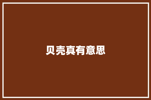 贝壳真有意思