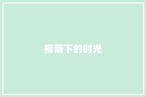 柳荫下的时光