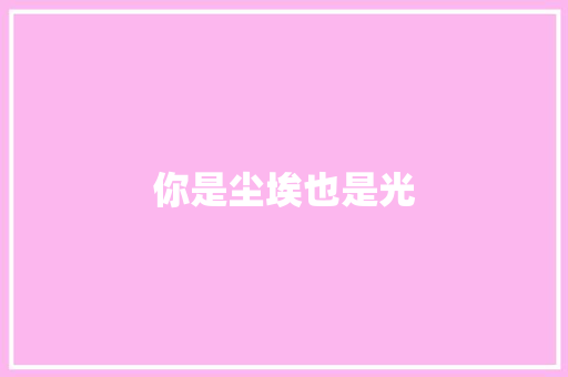 你是尘埃也是光