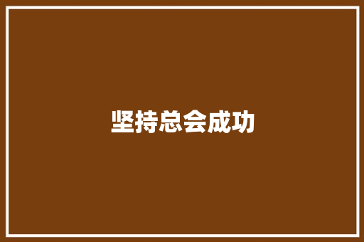 坚持总会成功