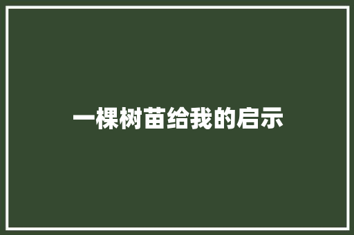 一棵树苗给我的启示