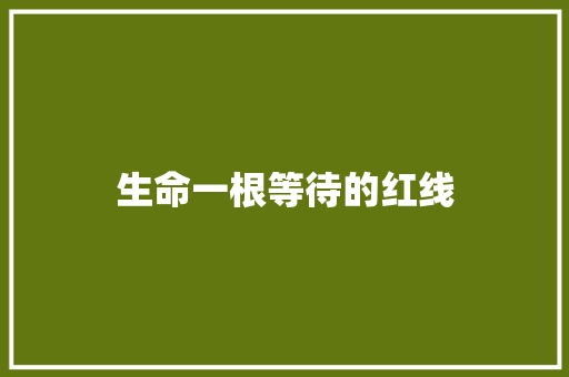 生命一根等待的红线