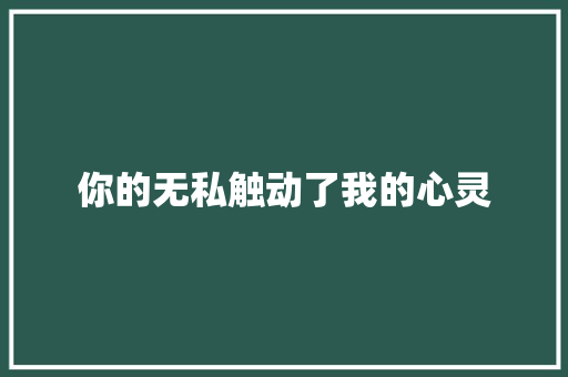 你的无私触动了我的心灵