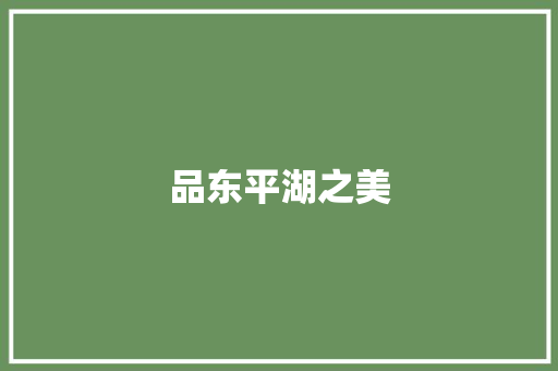 品东平湖之美