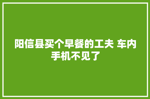 阳信县买个早餐的工夫 车内手机不见了
