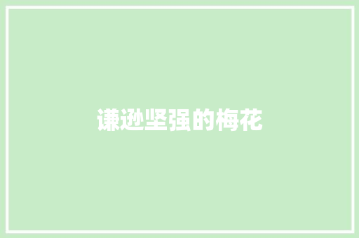 谦逊坚强的梅花