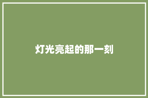 灯光亮起的那一刻