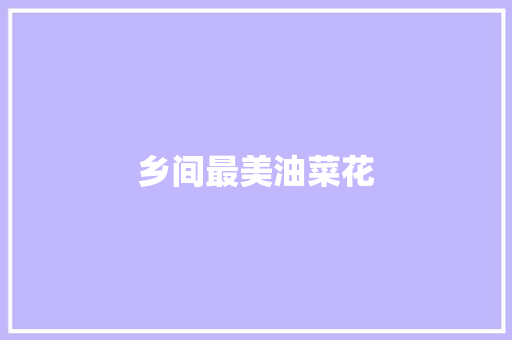 乡间最美油菜花