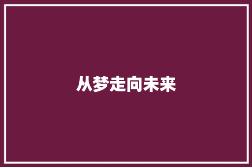 从梦走向未来