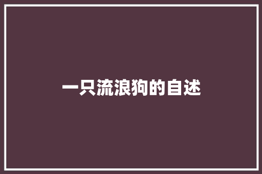一只流浪狗的自述