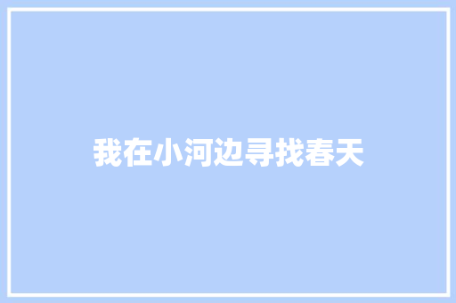 我在小河边寻找春天