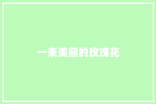 一束美丽的玫瑰花