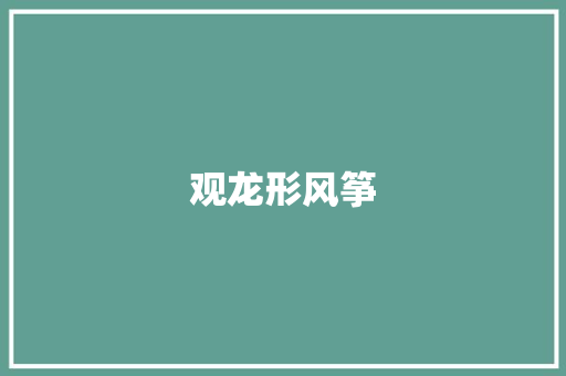 观龙形风筝