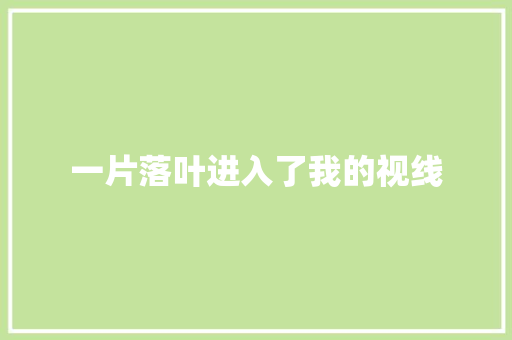一片落叶进入了我的视线