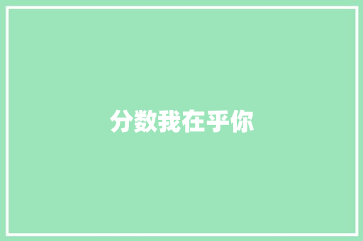 分数我在乎你