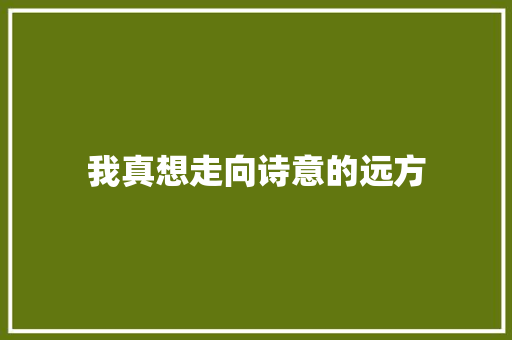 我真想走向诗意的远方