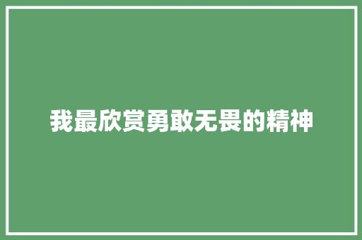 我最欣赏勇敢无畏的精神