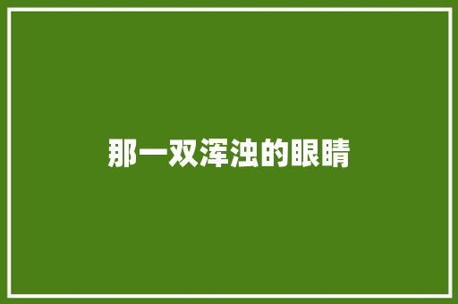 那一双浑浊的眼睛