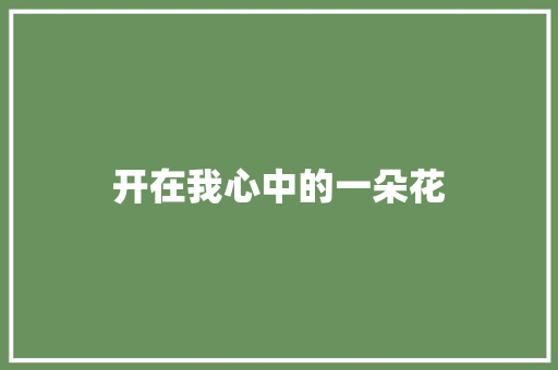 开在我心中的一朵花