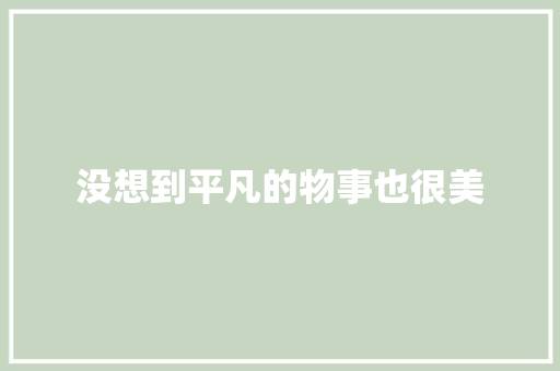 没想到平凡的物事也很美