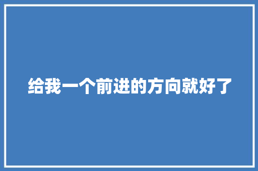 给我一个前进的方向就好了