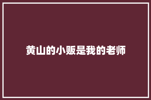 黄山的小贩是我的老师