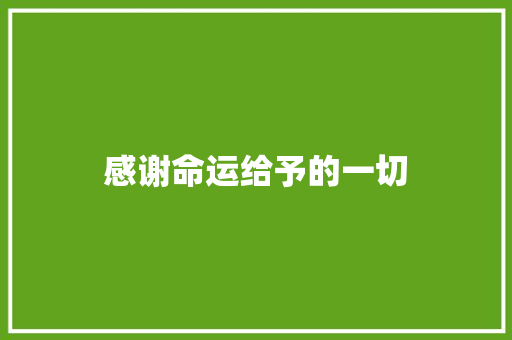 感谢命运给予的一切 休闲娱乐