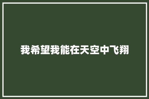 我希望我能在天空中飞翔