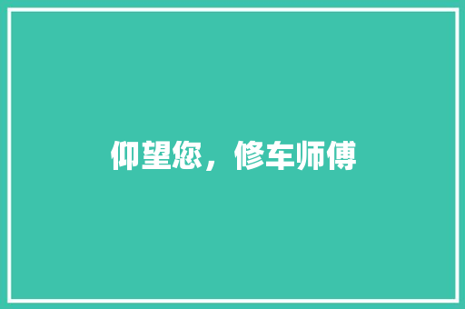 仰望您，修车师傅