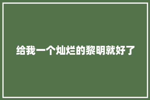 给我一个灿烂的黎明就好了