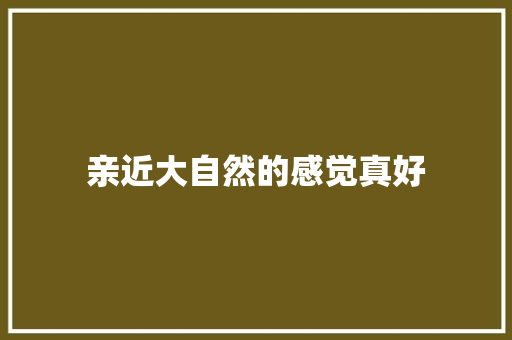 亲近大自然的感觉真好