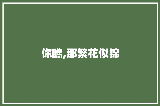 你瞧,那繁花似锦